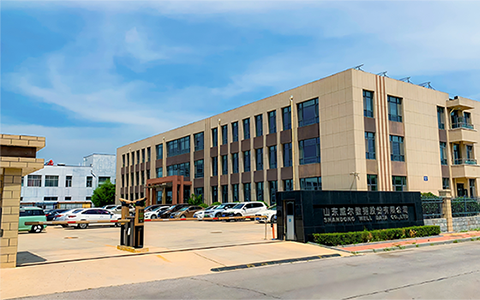 專業(yè)技術(shù)服務(wù)于人類智能社會